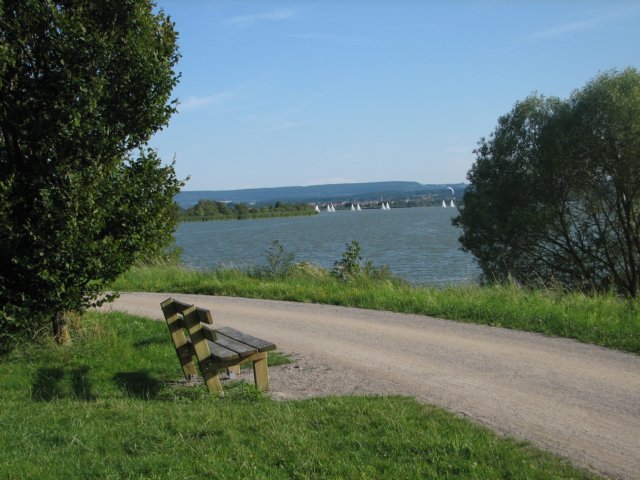photo28.jpg