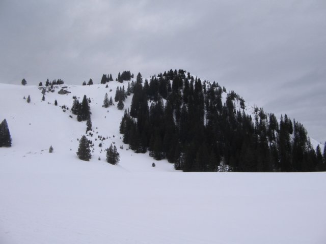 photo82.jpg